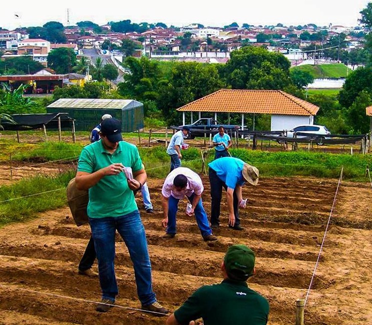 Campo Experimental Agronomia II